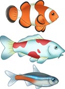Klovnefisk, karpe og neonfisk