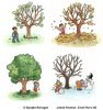 Træ i forskellige årstider