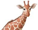 Giraf (animation)