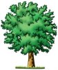 Et træ