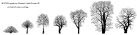 Silhuetter af syv træsorter