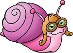 Magenta quick snail