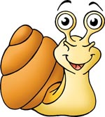 Friendly yellow snail